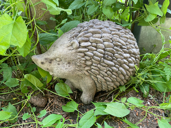 Gjutform Stor Igelkott